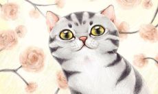 十二生肖分类排序图（十二属相排序的图）