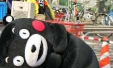 金牛跟天平配不配（金牛座和天秤座配不配做情侣）