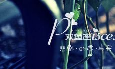 双鱼座和谁最合适（双鱼座适合什么星座在一起）