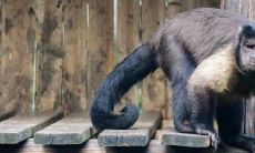 猴人今日运程及财运（今日猴人运程）