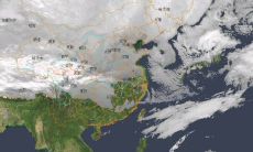 日柱为甲申的男命（庚寅日柱男命）