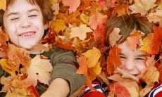 刘姓氏取名大全男（塔罗牌占卜健康牌阵出现恶魔）