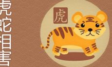 属虎可以和属蛇相配吗（属虎和属蛇的婚姻好不好）