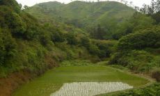 哪些地方风水好（什么样的风水宝地最好）