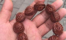 桃核开光有什么讲究（开光菩提子有什么讲究）