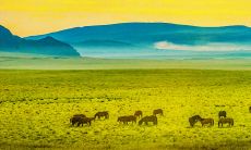 78年属马人2023年（2023年78年属马人每月）