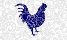 属鸡的最大年龄是多少（属鸡的年龄分别是多少）