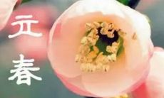 本命年初五晚上能出门吗（本命年第一天不能出门吗）