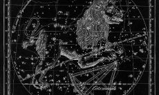 水瓶座和狮子座的爱情（狮子座和水瓶座适合结婚吗）