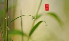 日柱有披麻是什么意思（日柱有勾绞煞是什么意思）