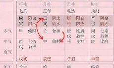 乙亥日柱和丙子日柱（乙亥日柱和什么最配）