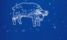 天蝎座2023年运势桃花运（金牛座近期桃花运）