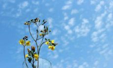 爱情是命中注定的缘分（两个人的缘分是命中注定的吗）