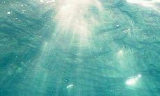 已婚女人梦到好多蛇追自己（已婚女人梦到蛇预示着什么）