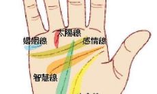 手相两条感情线图解（手相横财纹图解）