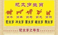 东莞拜太岁的道观（去太岁庙拜太岁的方法）