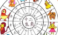 时辰与生肖相冲对照表（生肖与时辰相冲）