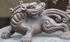 招财熊是什么（八种植物招财又旺宅）