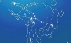 金牛座是不是学霸（金牛座到底有多聪明）