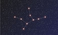 处女座女故意气你的表现（双子座越喜欢一个人越气她）