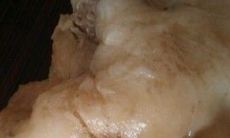 太岁液的功效与作用是什么（太岁能治什么病）