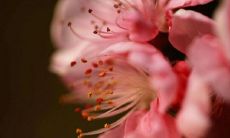 女生桃花运太旺怎么办（最近桃花运太旺怎么办）