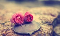 金牛男会轻易放弃喜欢的人吗（已婚金牛座男人对婚外情）