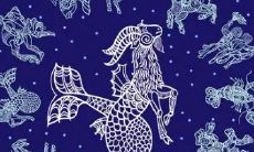 射手座适合干什么工作（天秤座适合什么工作）