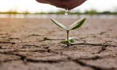 五五行属土的有那些字（属土的字五行属土的字有哪些）