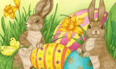 属兔的自私吗（属兔是哪一年出生的）