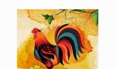 1998年属虎和1993年属鸡（属虎和属鸡能过到老吗）