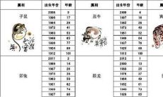 十二生肖岁数排行榜（28岁属什么的生肖）