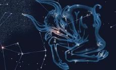 最抠门的四大星座男生（婚后自私星座男）