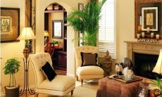 水竹摆在哪里招财（客厅摆什么招财最灵）