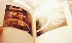 寓意财运的植物（家里养什么花旺财又吉利）