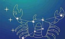 阳历7月8日是什么星座狮子座（7月底的狮子座性格）