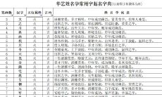 字义五行属火有哪些（五行属火的字及字义）