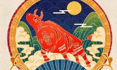 属猪人养什么植物化煞（属猪的家里养什么植物旺财）