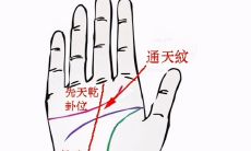 女有通天纹手相代表什么（2023年狗1982年运程）