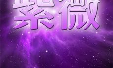 紫微斗数乙级星曜详解（紫微斗数星曜）