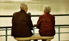 属鸡和属狗的婚姻能到老吗（属鸡人和属狗人的婚姻）