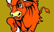 1997属牛女人的桃花运（属牛的人命好吗）