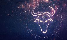 金牛座今日运势详细解析（金牛座的特点是什么）