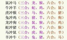 属蛇和属猪的人能结婚吗（属蛇和属猪的婚姻怎样）