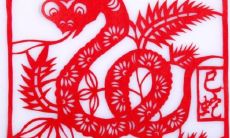 属蛇的人年龄（1983年属猪人2023年运势）