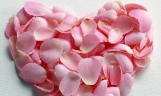 如何看本命桃花（本命桃花是什么意思）