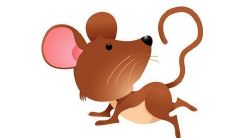 属鼠的遇到属鼠的老板（属鼠的财位具体在家哪个位置）