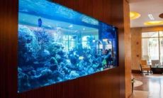 办公桌鱼缸摆放位置风水图（办公室鱼缸的摆放风水）