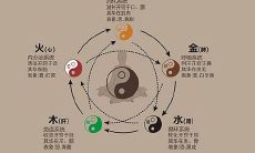 五脏的对应的五行（五脏对应的五行属性）