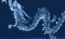 属龙和属虎的合不合财运（属龙的人和属虎的人合作好吗）